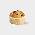 Chocolate Chip Muffin (x12)