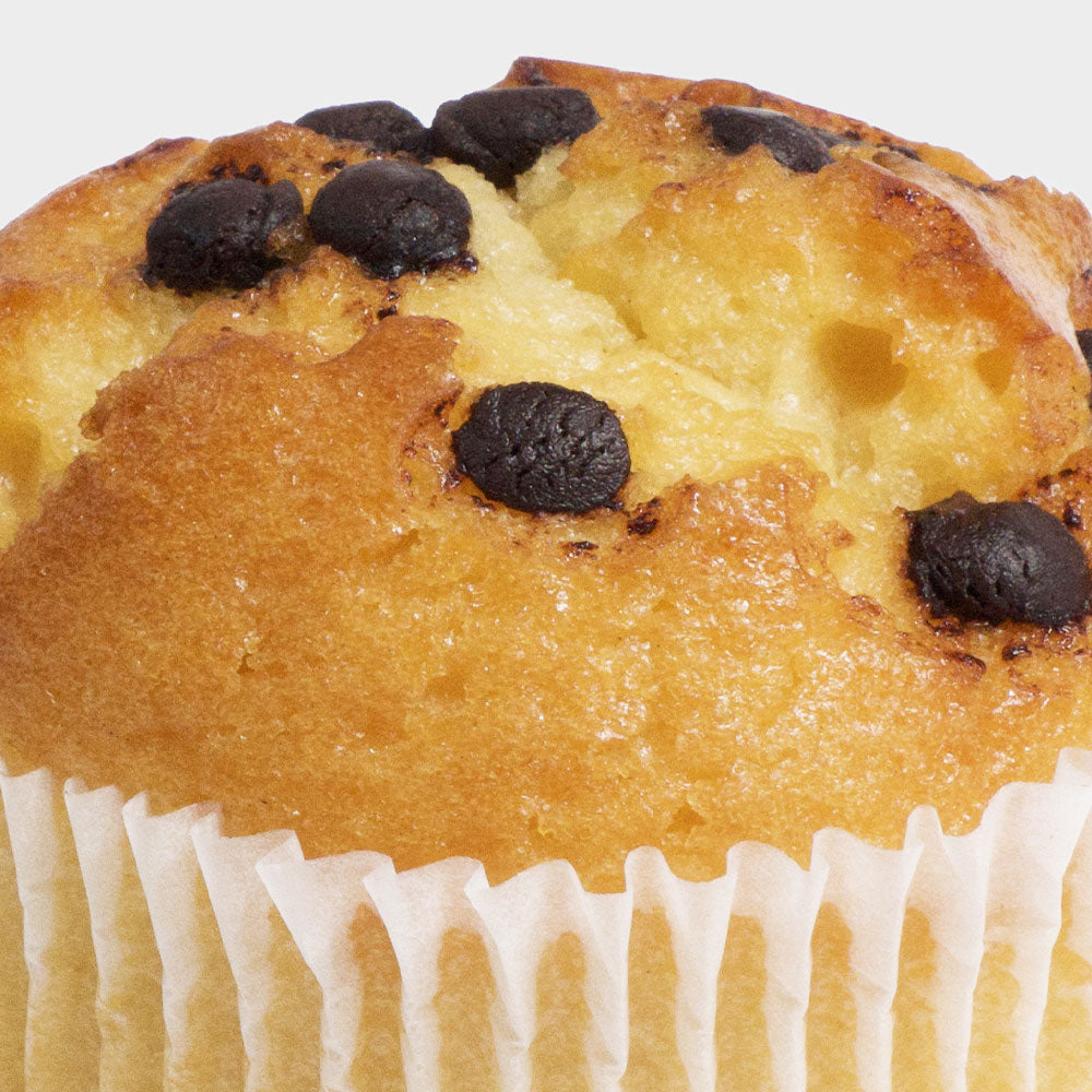 Chocolate Chip Muffin (x12)