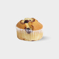 Blueberry Muffin (x12)