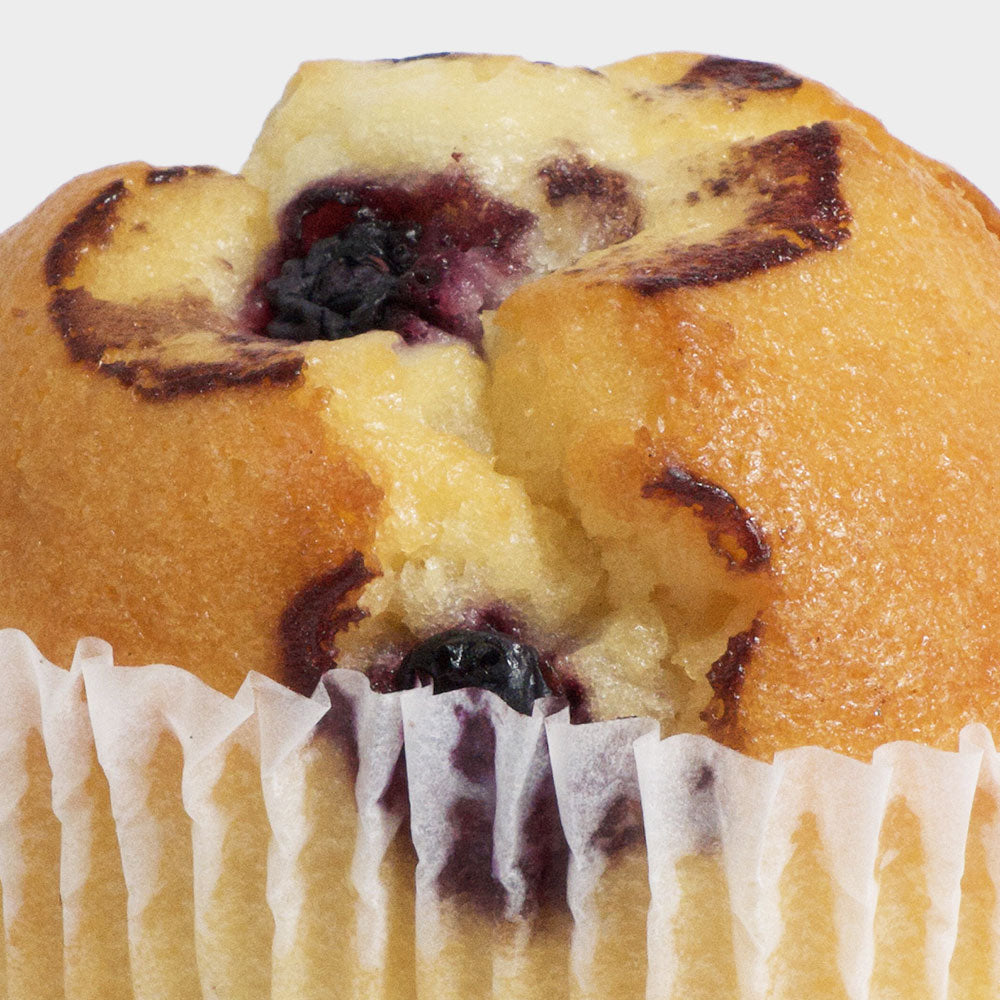 Blueberry Muffin (x12)