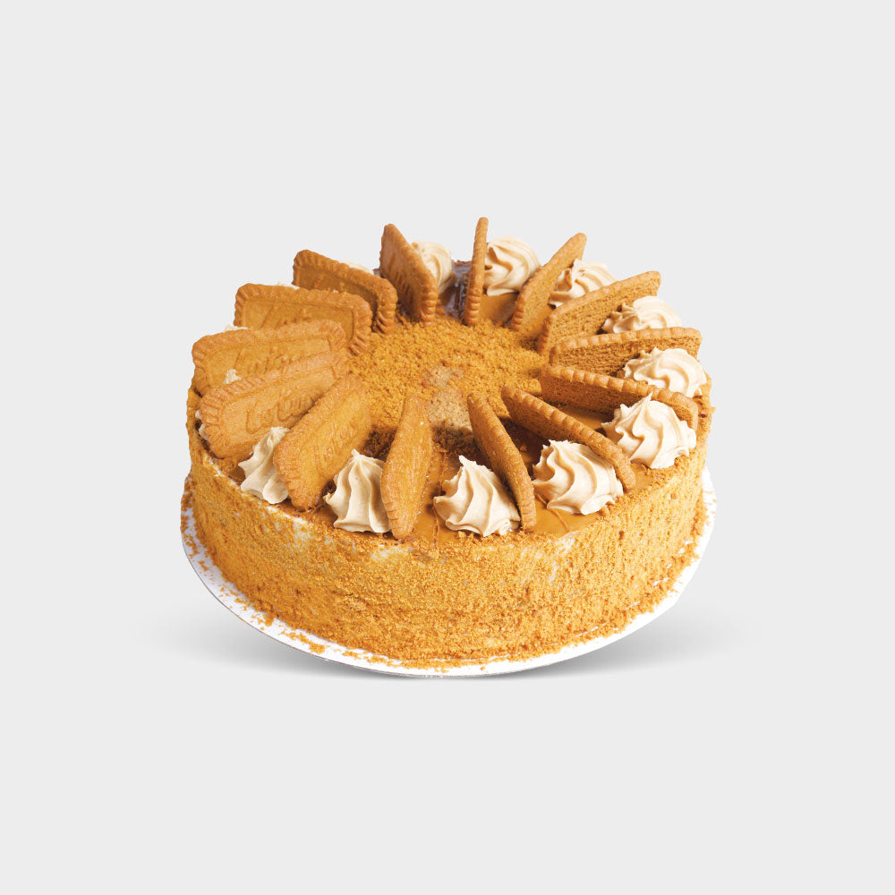 Lotus Biscoff Cake (1x12)