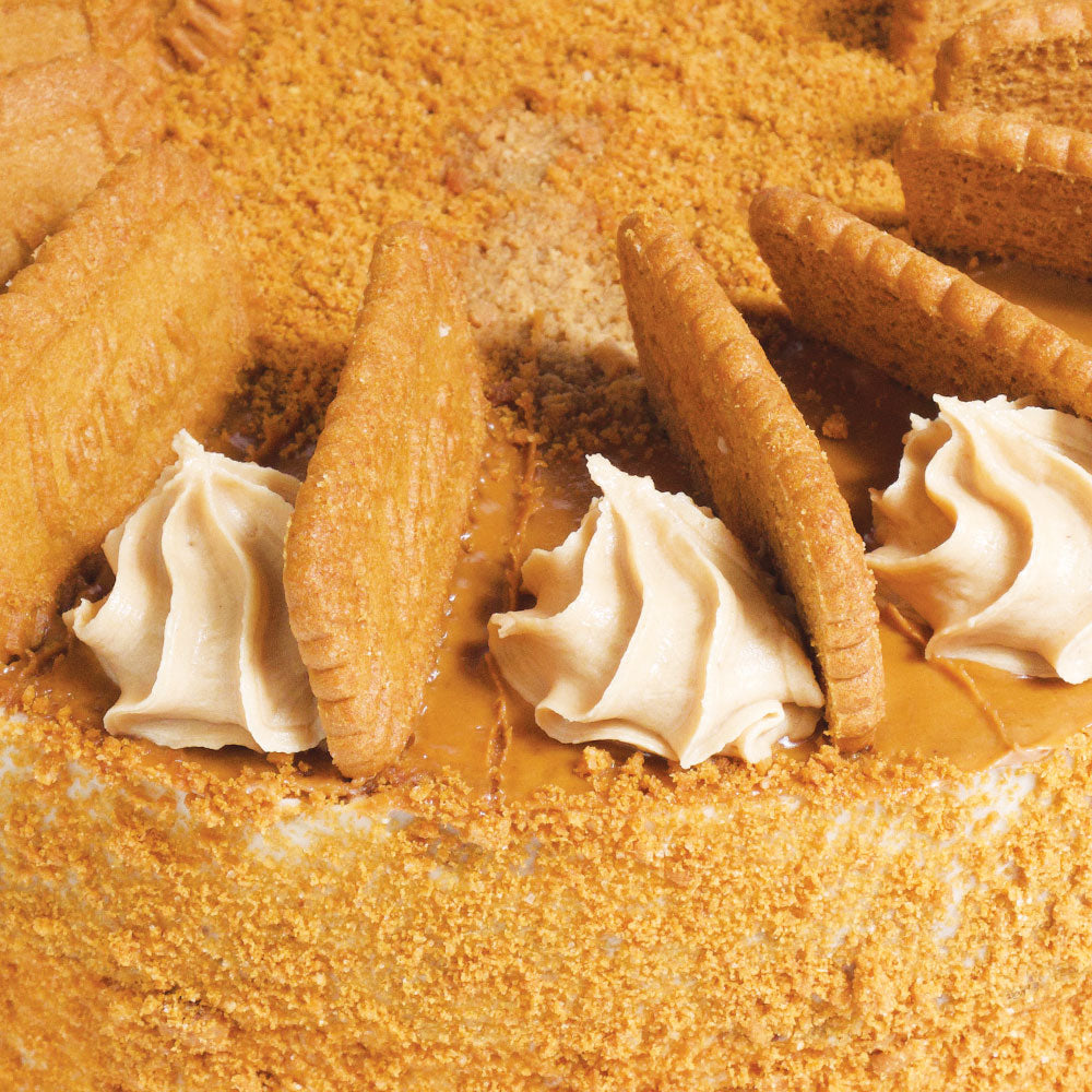 Lotus Biscoff Cake (1x12)